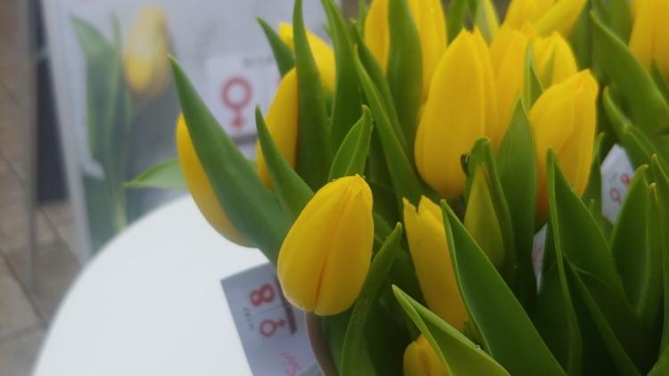 Aktion Int. Frauentag